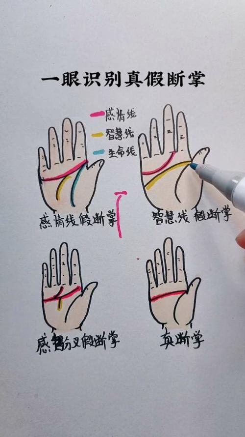 如何理解掌纹识别_如何理解掌纹识别